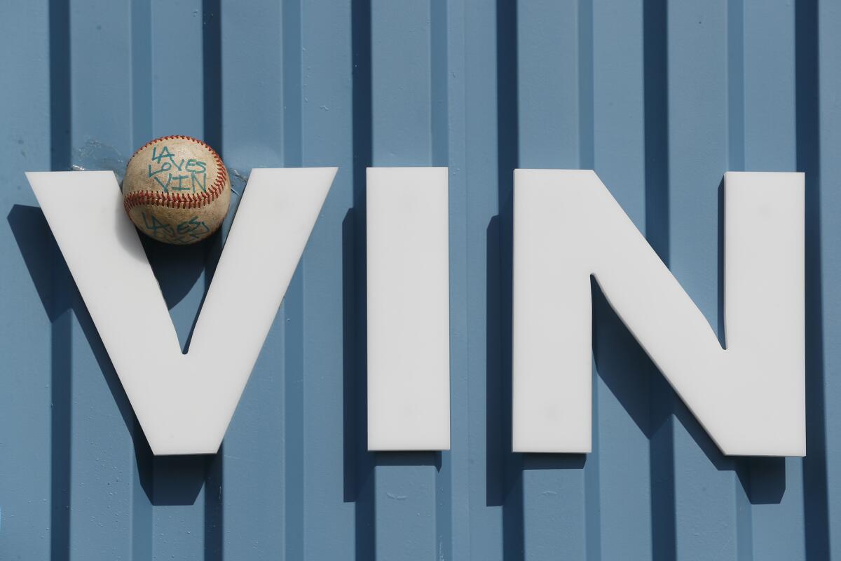 A baseball rests in the "V" in Vin