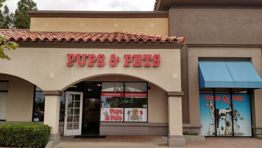 Pups & Pets is the lone pet store in Santee. Animal activists concerned about puppy mills have been picketing the store since 2011. Over the weekend, the store and another pet store in Escondido were cited by the San Diego Humane Society for not following state guidelines for adoptable puppies.