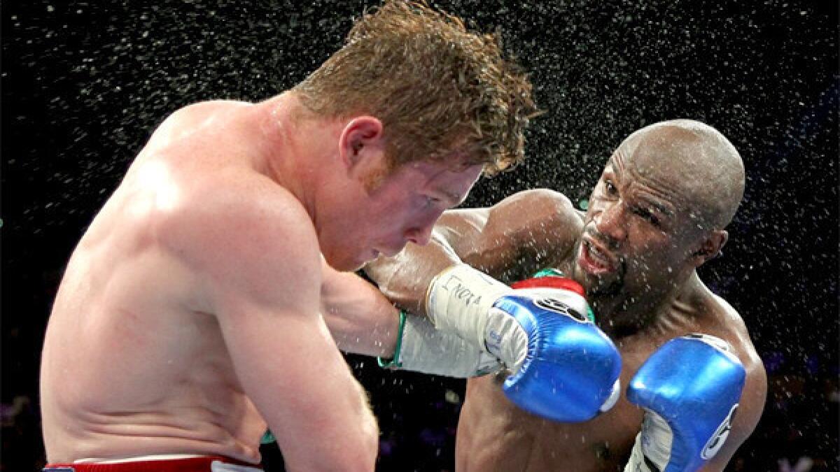 Boxing: Where did the Canelo Alvarez vs Juan Manuel Marquez feud