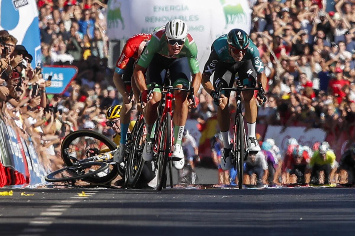 Mads Pedersen of Denmark and Team Trek, center left, sprints at the finish line as Primoz Roglic of Slovenia falls, left back, in the final sprint during the 16th stage of the Vuelta cycling race between San Lucar de Barrameda and Tomares, in Tomares, southern Spain, Tuesday, Sept. 6, 2022. (AP Photo/Angel Fernandez)