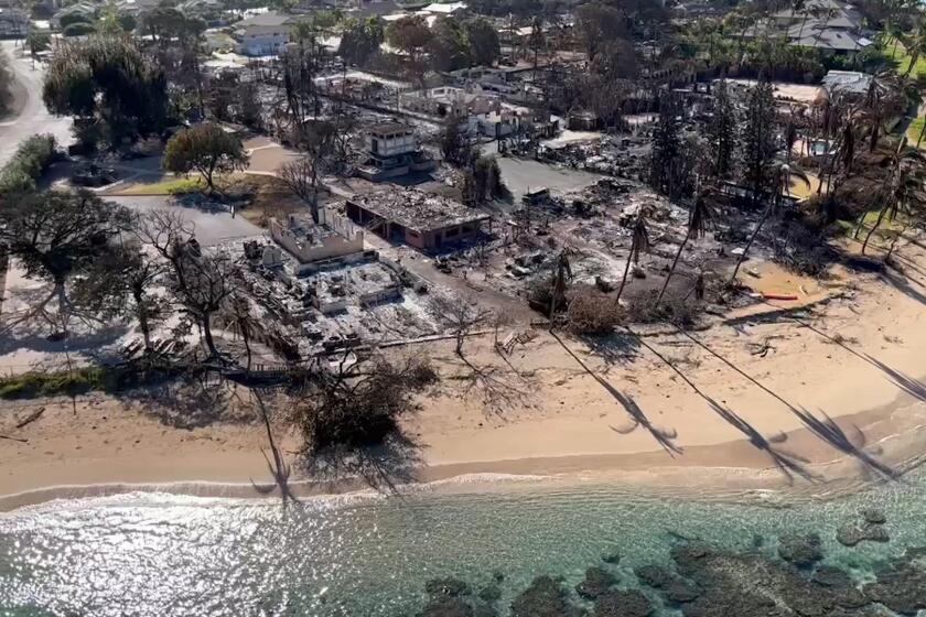 Maui devastation aerial footage