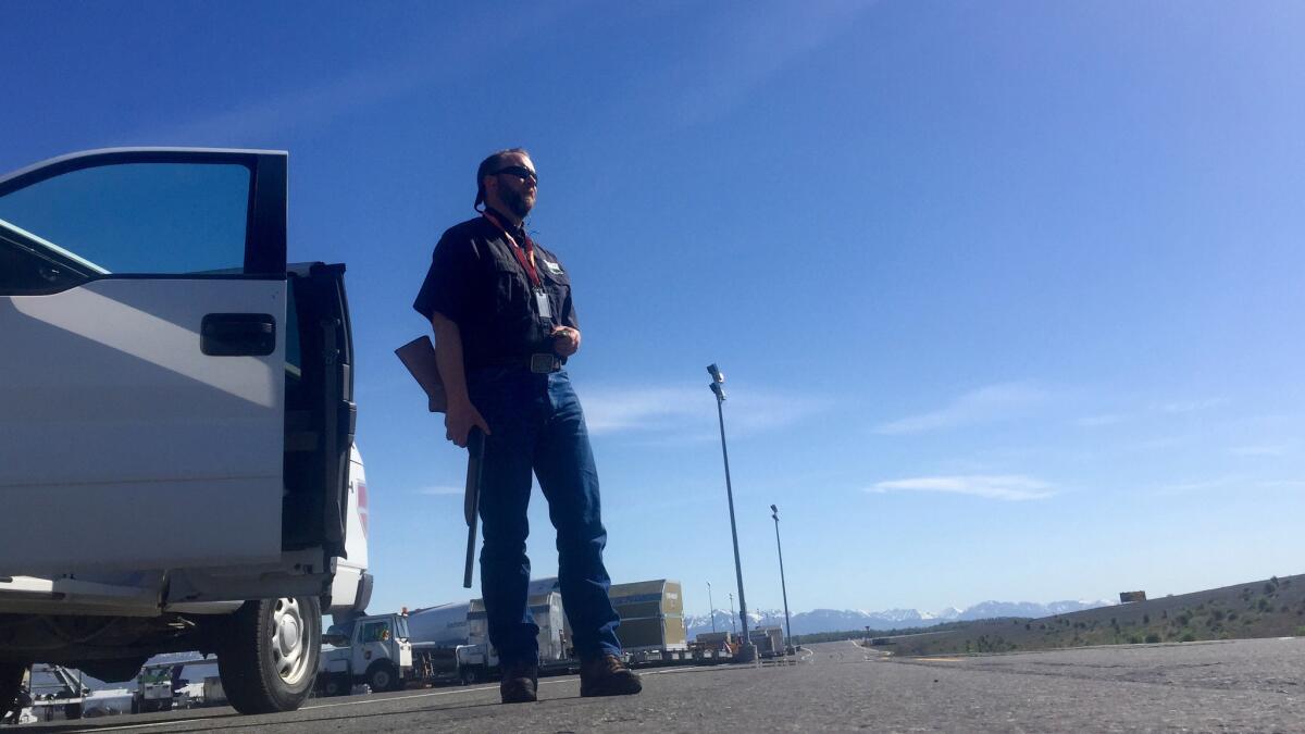 Wildlife biologist Spencer Nelsen patrols Ted Stevens Anchorage International Airport. There have been two aircraft collisions with bald eagles during his three years here, he said. One caused more than $1 million in damage to a 747 in 2015.