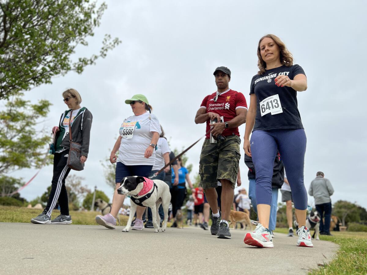 Some of the 5,000 walkers and nearly 1,000 dogs participating in the May 7 Walk for Animals