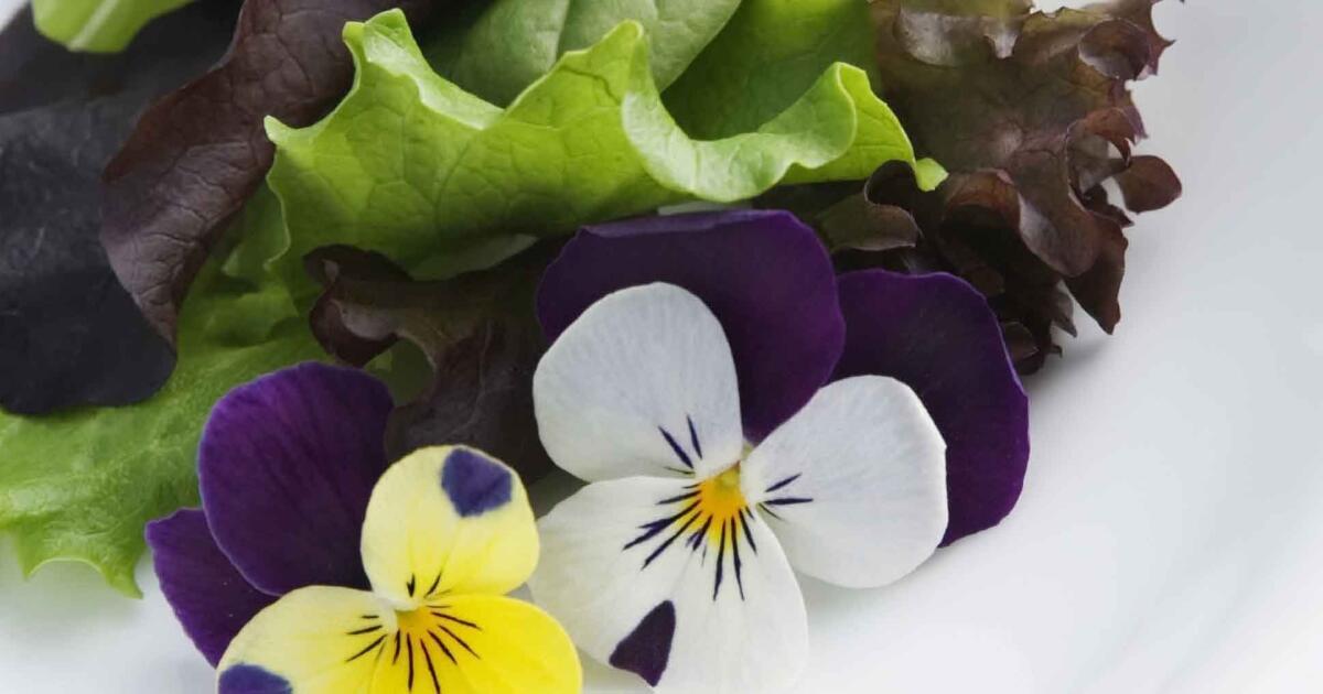 Cooking with edible flowers - The San Diego Union-Tribune
