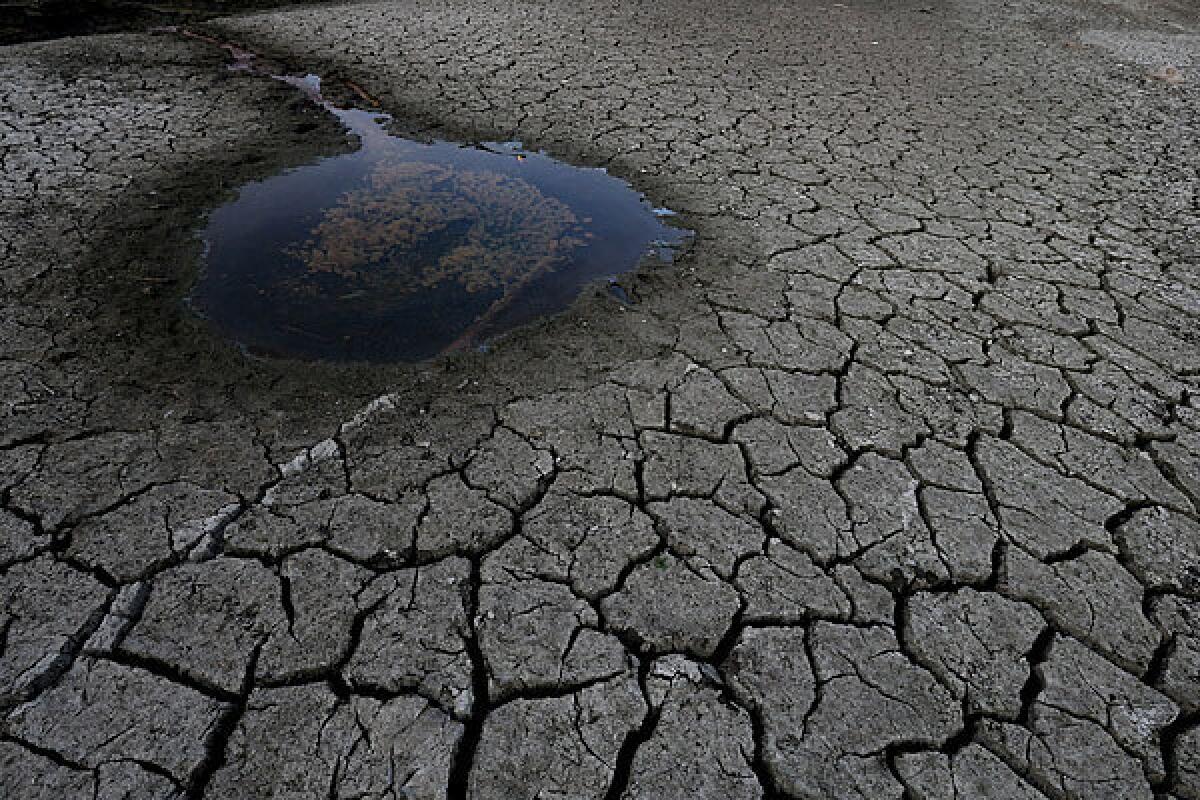 A small pool of water is surrounded by dried and cracked earth at the bottom of the Almaden Reservoir in San Jose. Gov. Jerry Brown and President Obama discussed the state's drought situation Wednesday.