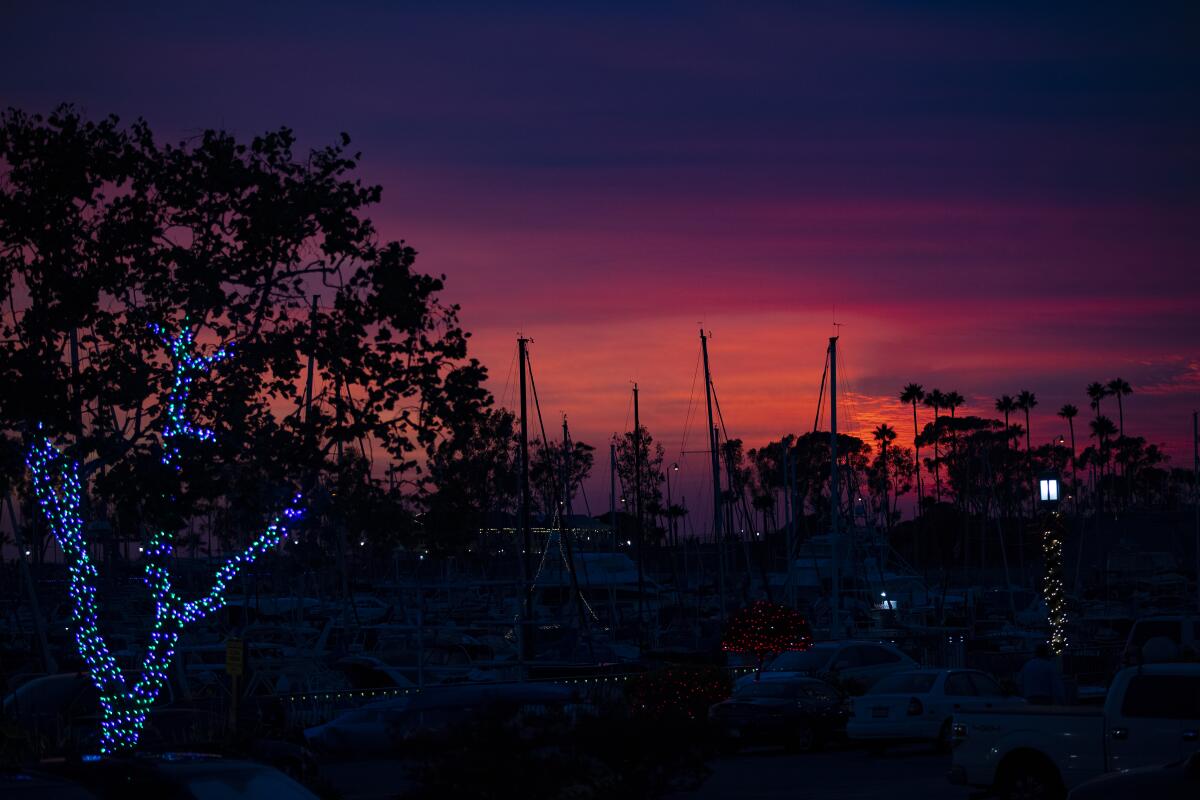 Ship's masts silhouetted against the Dana Point Harbor sunset.