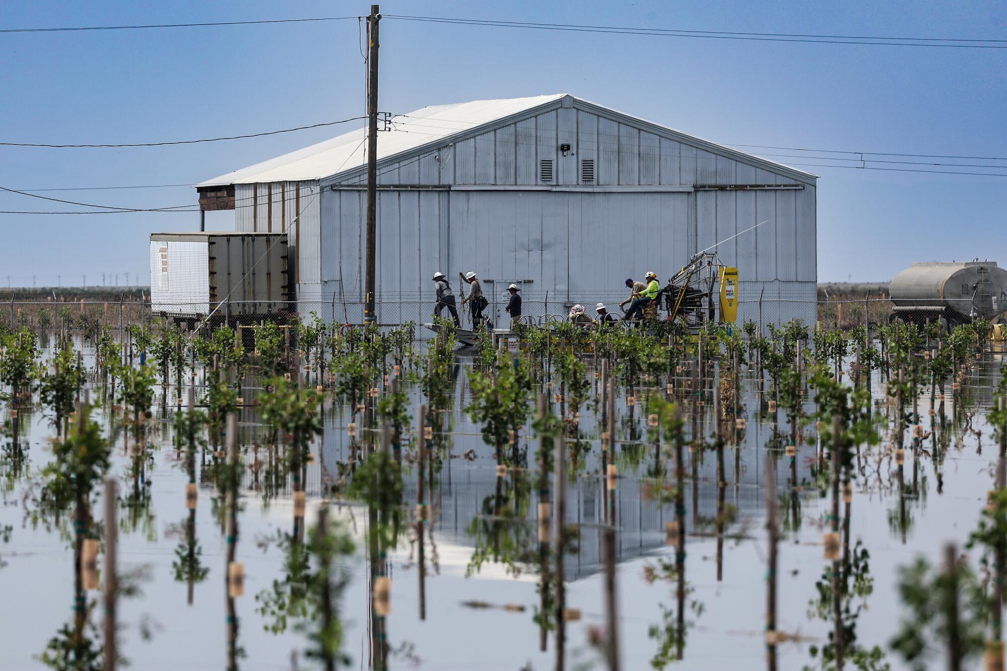 People work near a building amid floodwaters that have filled an orchard.
