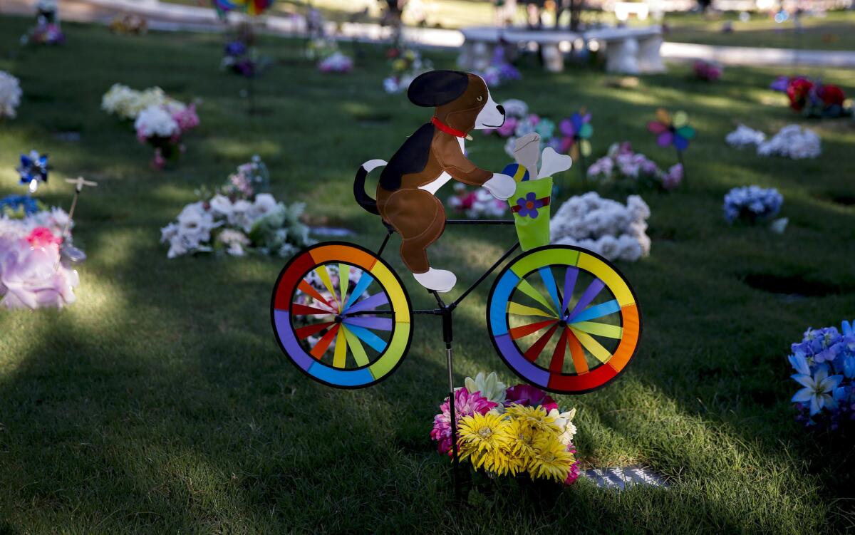 A variety of decorations adorn grave stones at Los Angeles Pet Memorial Park. Depending on the size of the plot and the quality of the casket, burial can cost $600 to $2,000.
