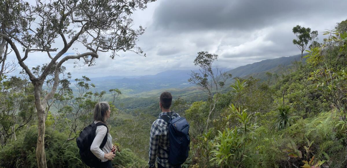 Two people wearing backpacks look out over a lush landscape, with gray clouds overhead.