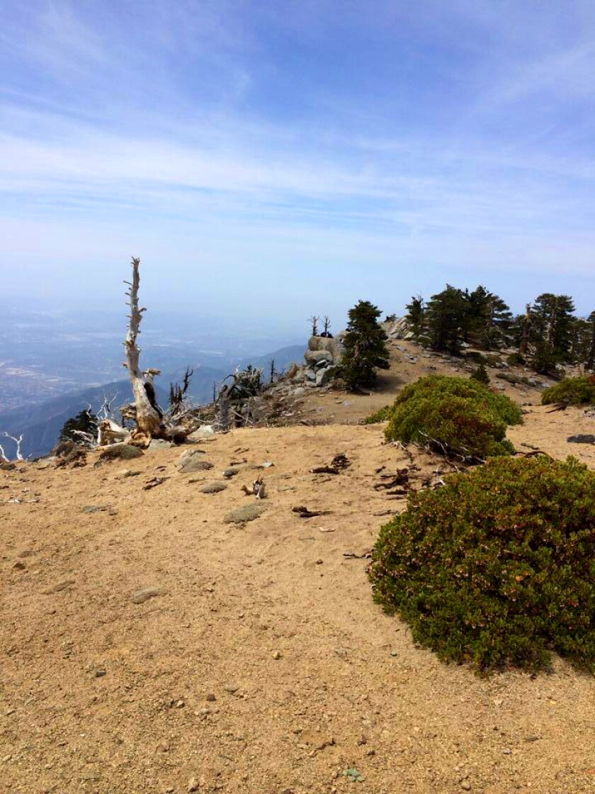 A mountain peak with low vegetation provides a wide view.