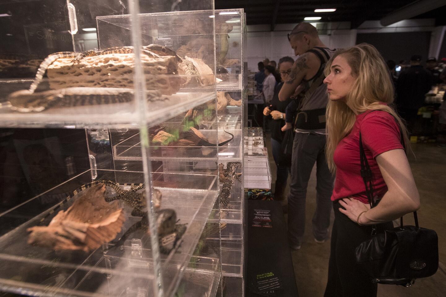 Repticon snakes things up at O.C. fairgrounds Los Angeles Times