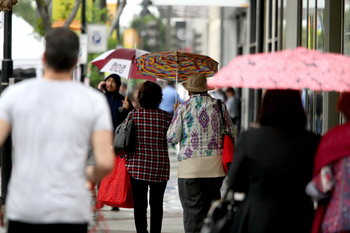 The umbrellas were out in force on a rainy day on Brand Blvd. in Glendale on Thursday, May 14, 2015.