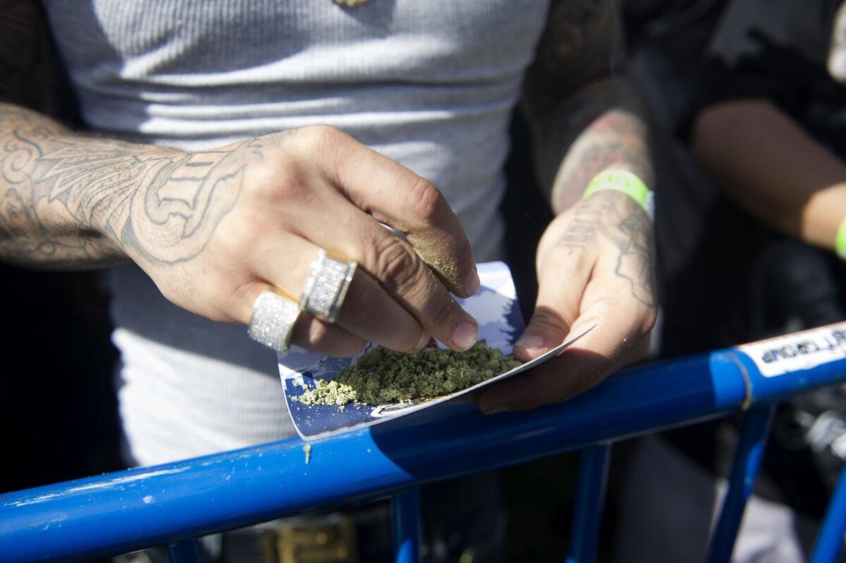A marijuana cigarette is prepared during the Denver 420 Rally, the world's largest celebration of both the legalization of cannabis and cannabis culture, on May 21, 2016.
