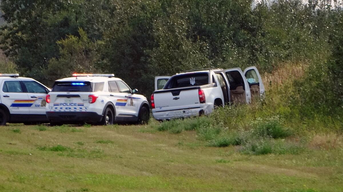 Police vehicles on the grassy side of a road against a backdrop of green shrubbery