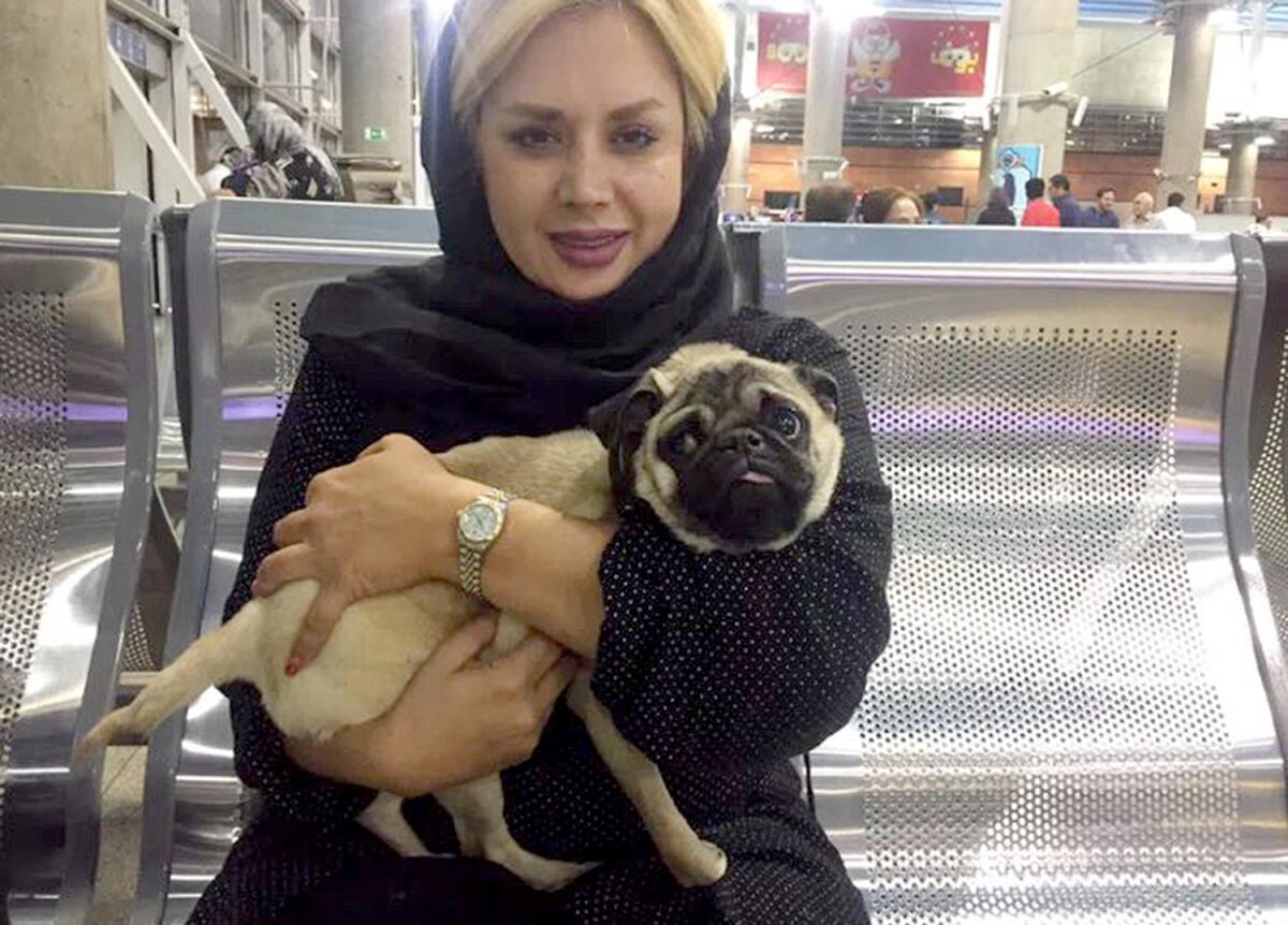 Katy Kargosha holds a rescued pug inside Tehran Imam Khomeini International Airport, where she was in-country only four hours to pick-up the injured dog. (Katy Kargosha)