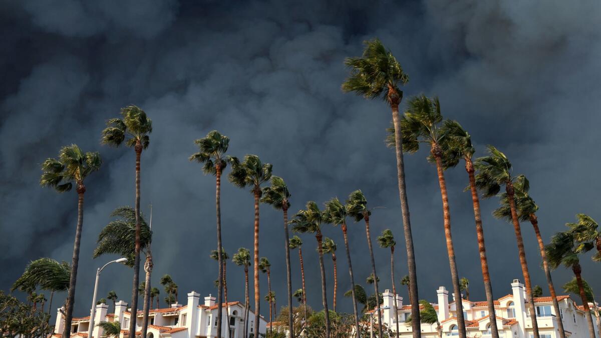Smoke billows behind a building and palm trees along the PCH in western Malibu, Calif. on Nov. 9.