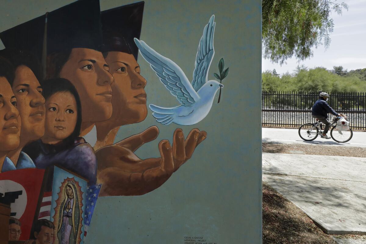 A person rides a bike past a mural that shows people wearing mortarboards and releasing a dove.
