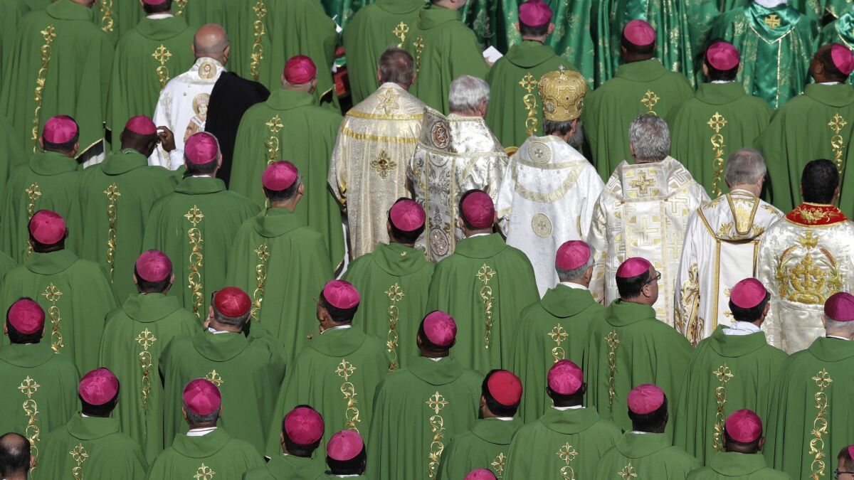 Bishops attend a Mass celebrated by Pope Francis at the Vatican on Wednesday.