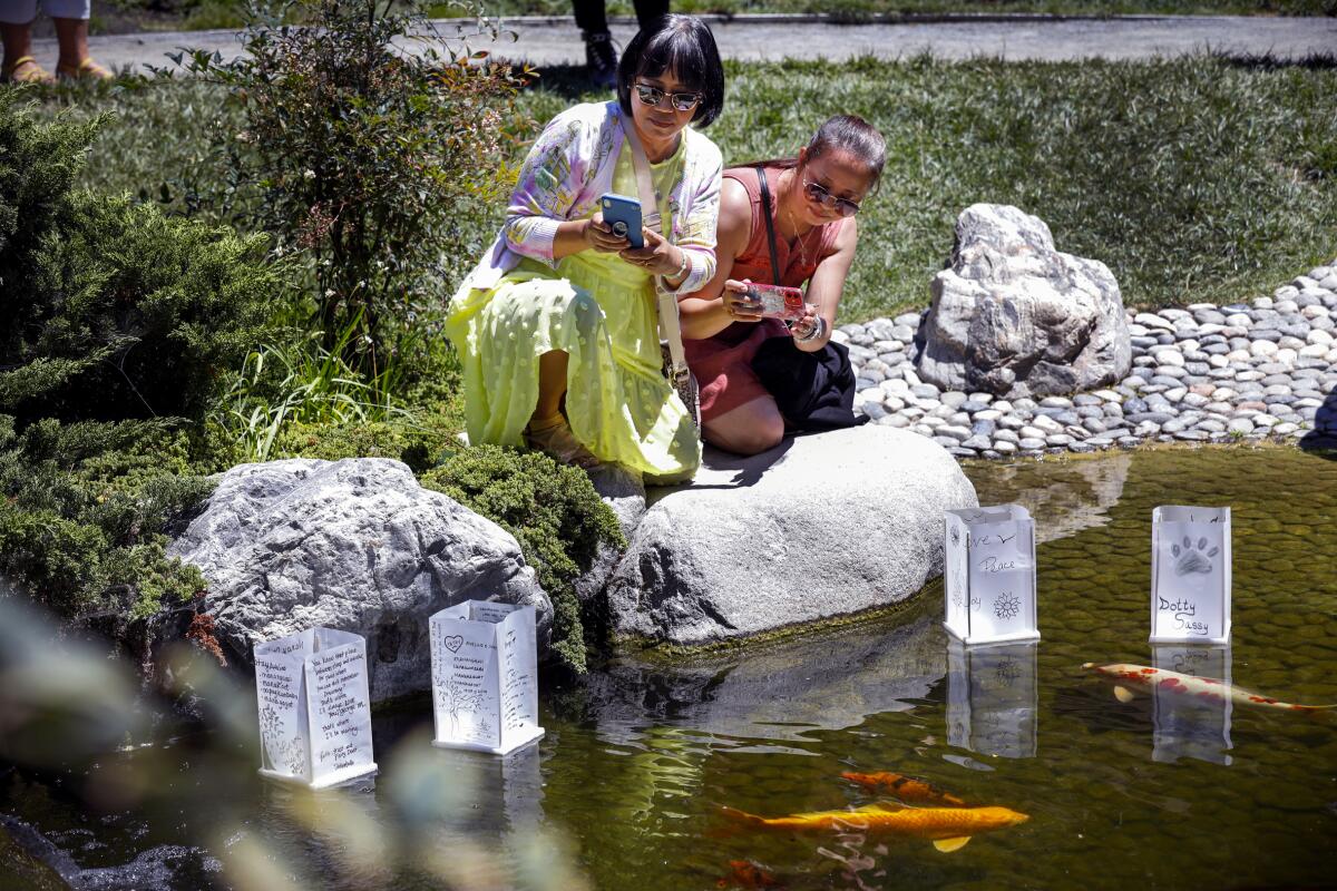 San Diegans travelled to Balboa Park's Japanese Friendship garden for its festival of floating lanterns.