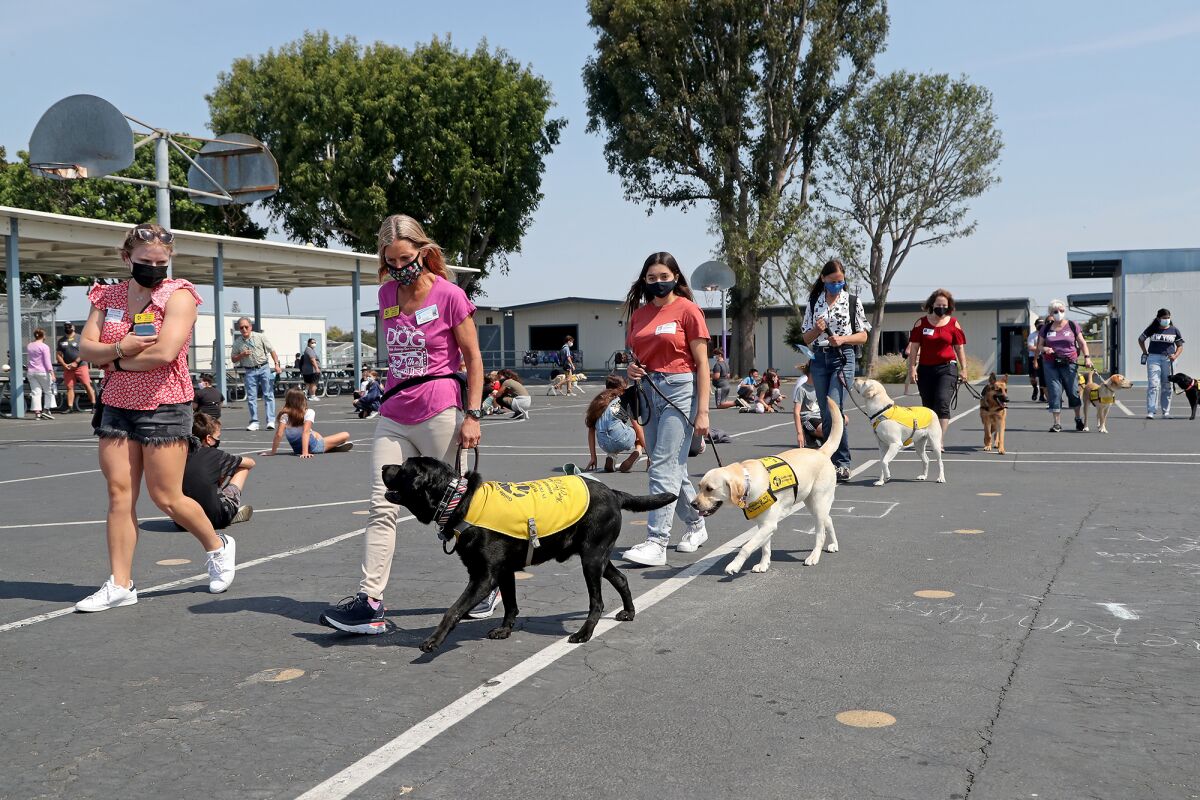 Fourth-grade teacher Holly Sjogren, second from left, leads Guide Dogs of America handlers through campus Wednesday.