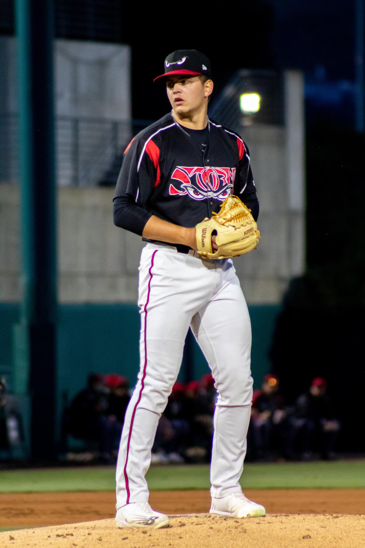 Palm Beach 5A-1A baseball player of the year: Jackson Miller