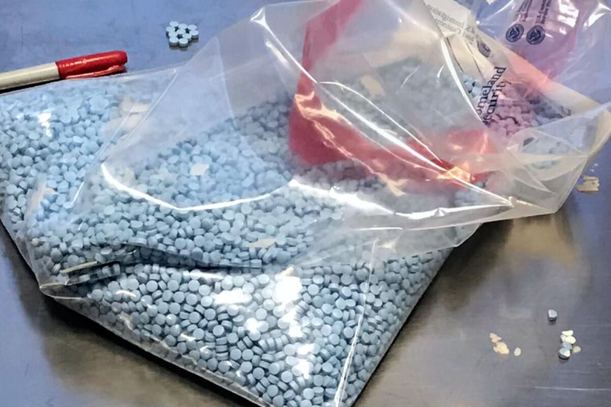 An evidence bag of small blue pills on a steel table