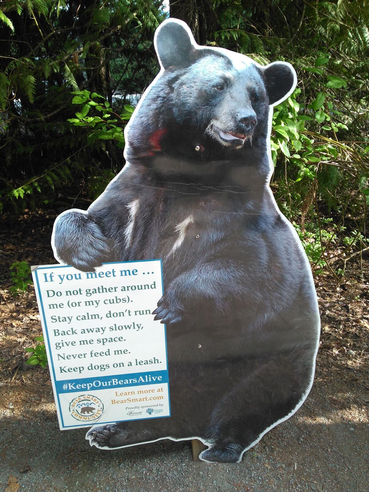 A sign warning people about bears 