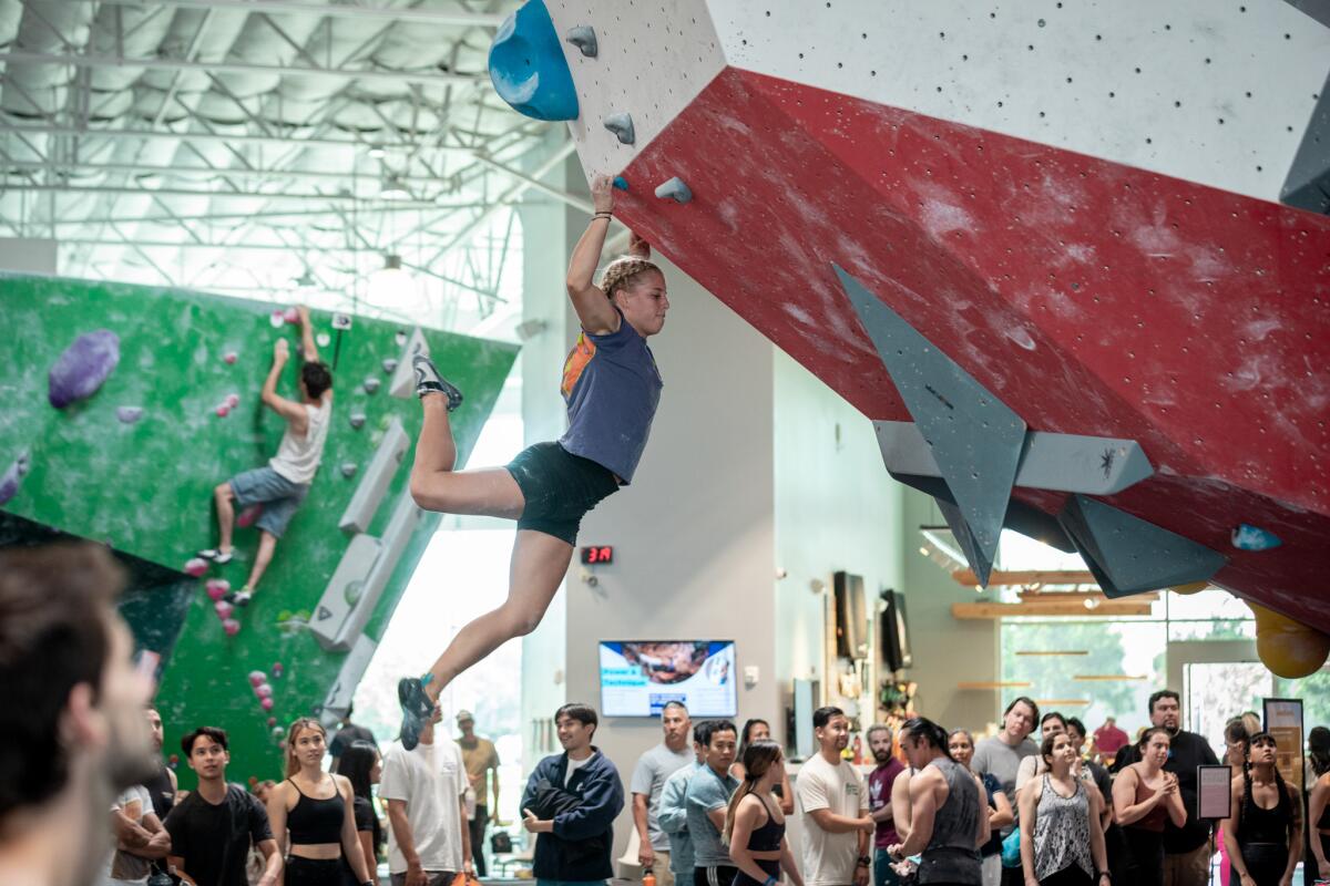 Movement climbing gym.
