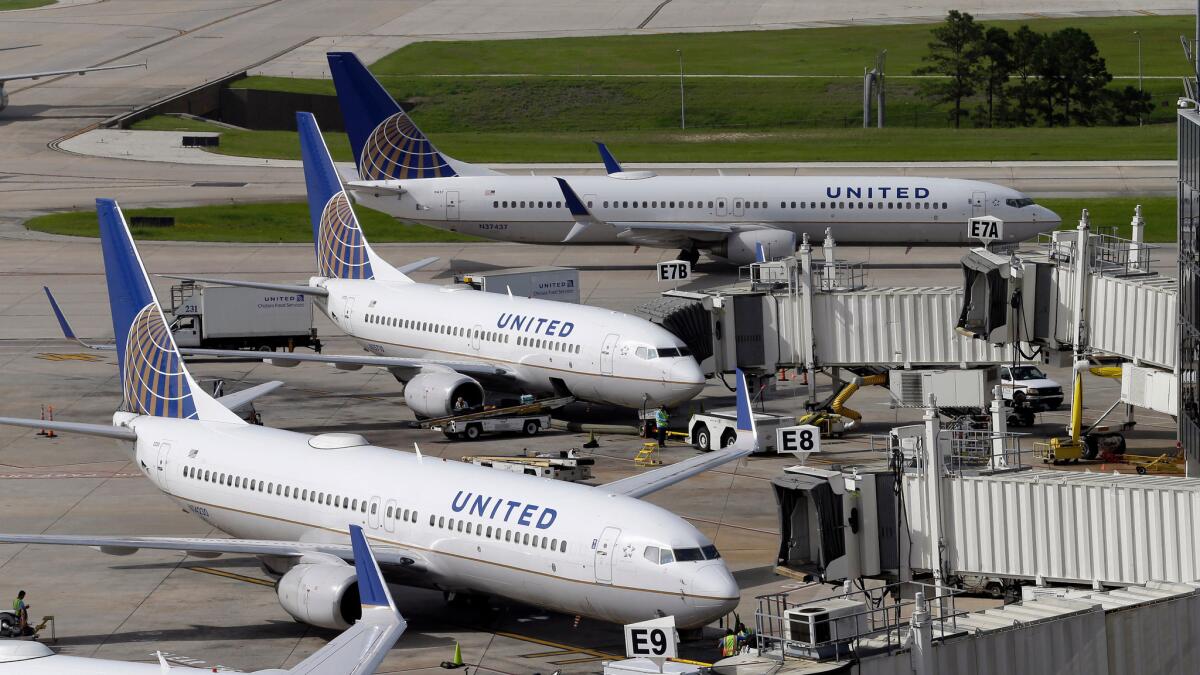 United Airlines planes parked at their gates.