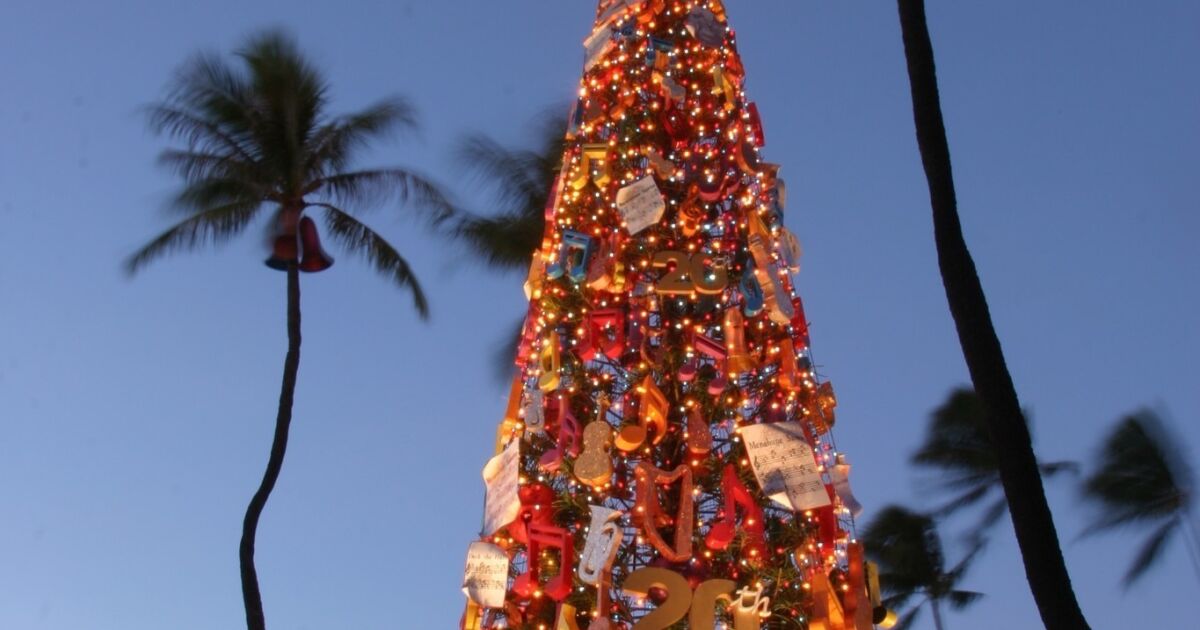 Hawaii On Oahu, parades, a gift fair, gingerbread and a special tree