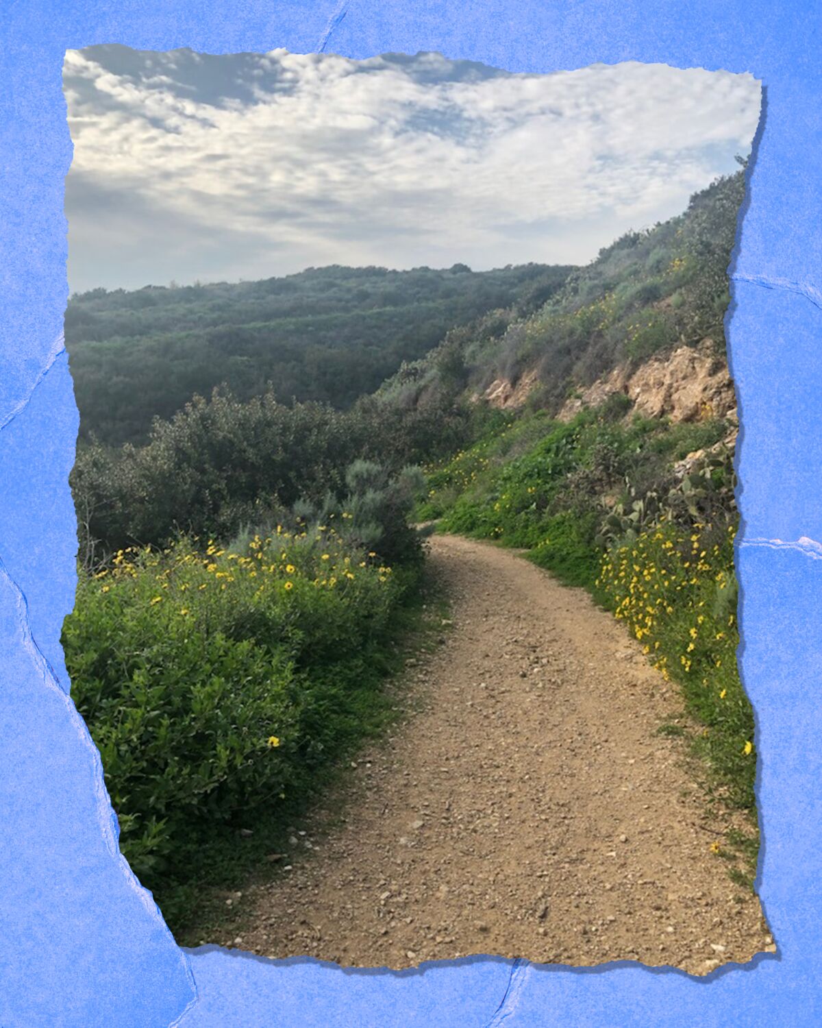 A dirt trail curves through green hills, with blue sky above.