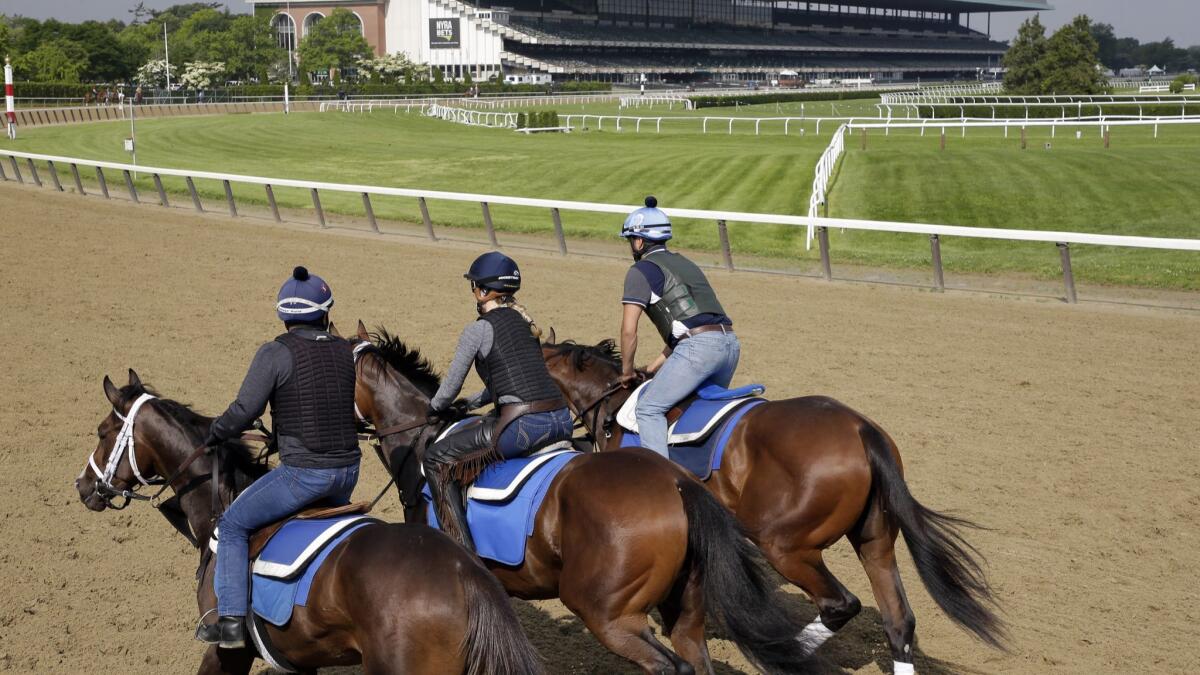 Riders work out horses at Belmont Park on Thursday.