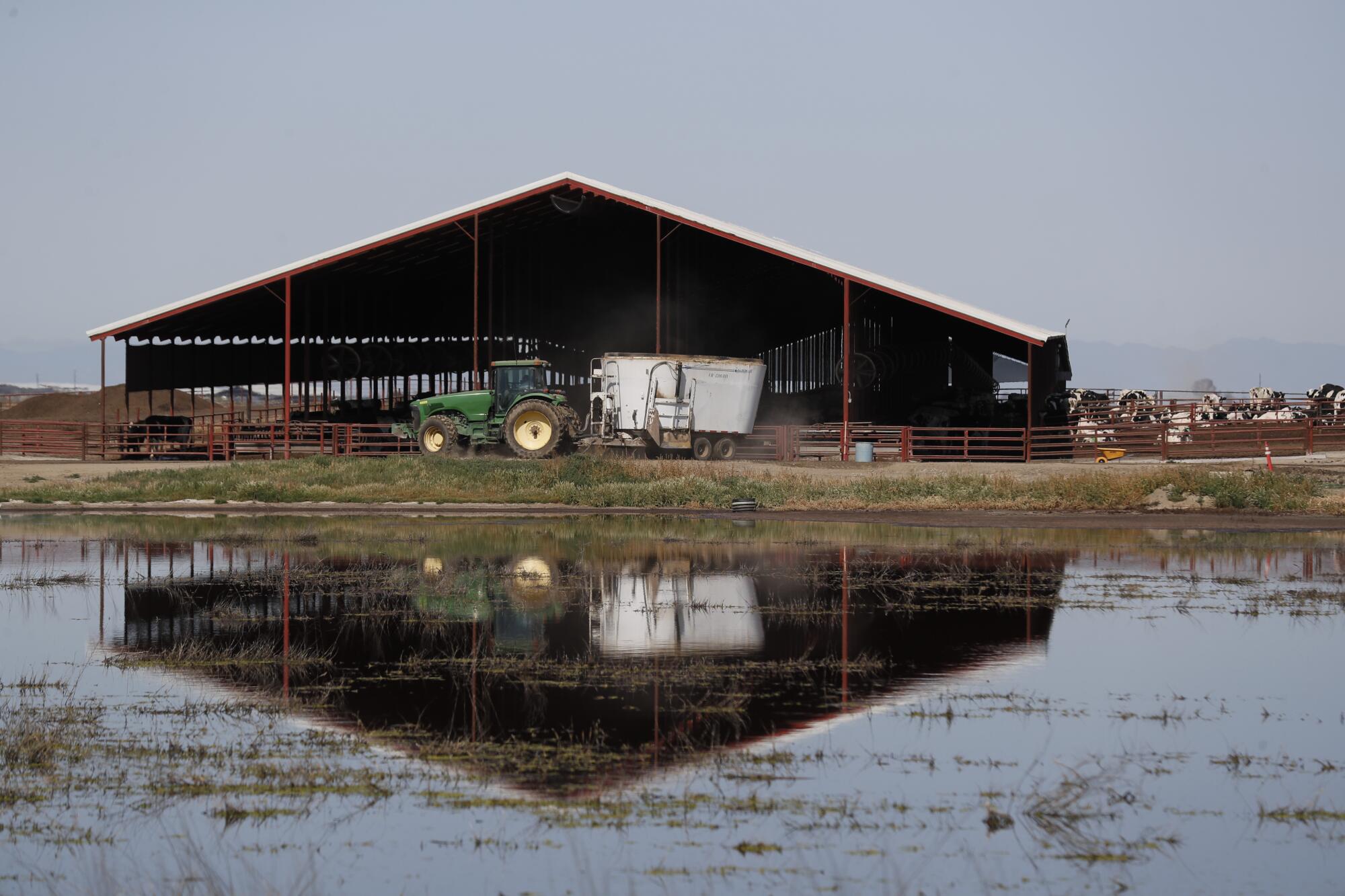 Floodwaters threaten a dairy.  