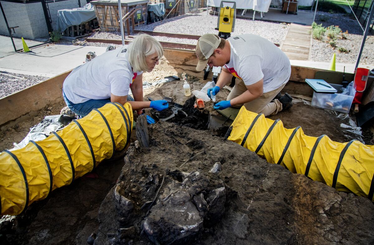 Two people kneel on the ground carefully digging up fossils 