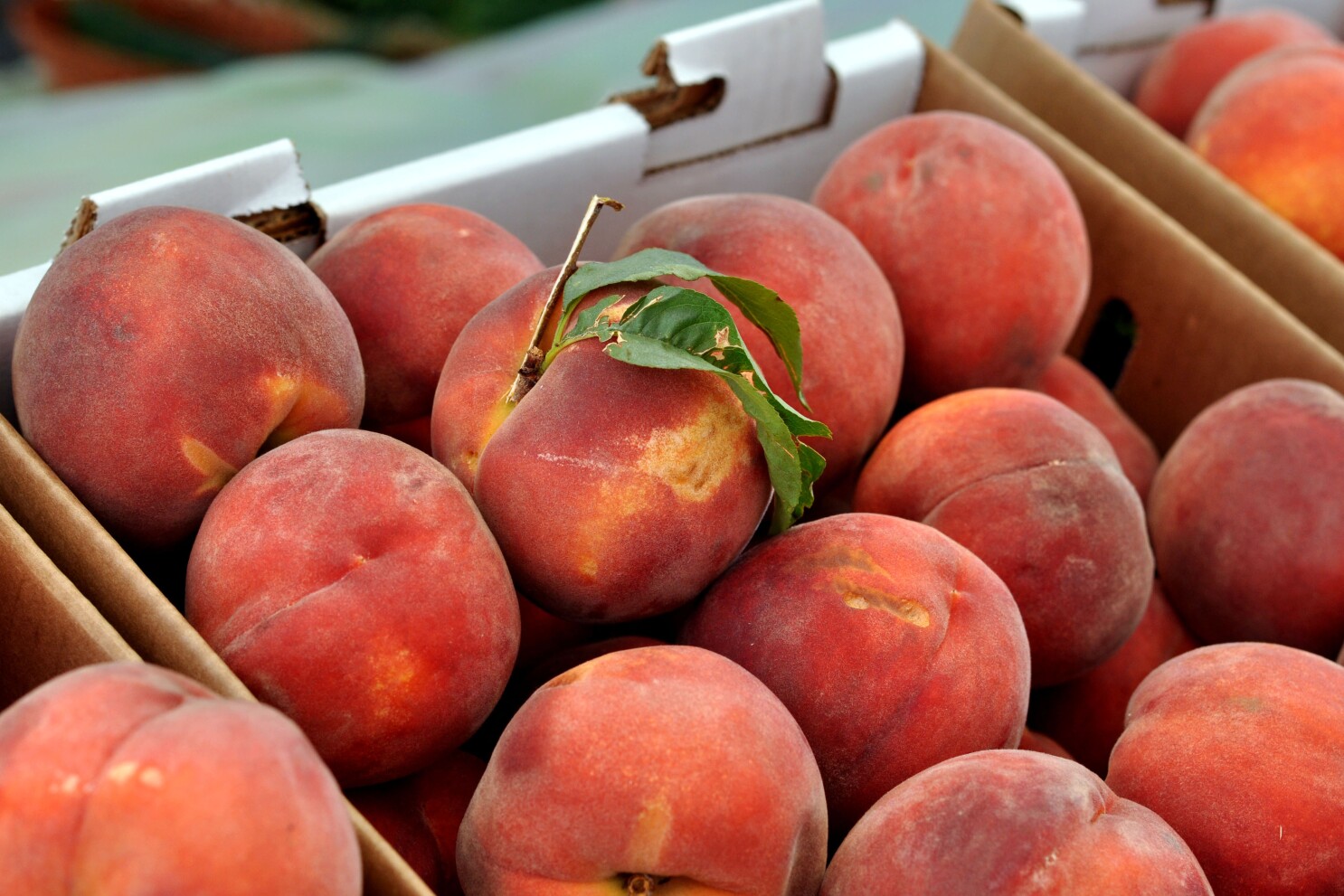 L A Farmers Market Guide O Henry Peaches Are Coming Los Angeles Times