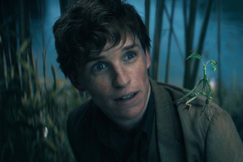 Eddie Redmayne as Newt Scamander is bent down down and looking up with creature Pickett the Bowtruckle on his shoulder
