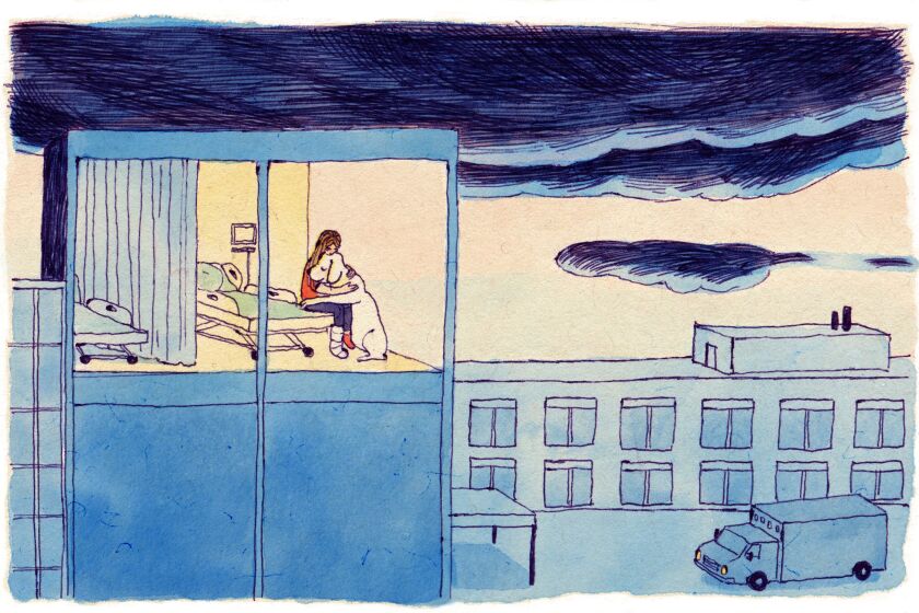 Illustration of a building with a hospital room lit up in one window. A girl hugging a dog is visible in the room.