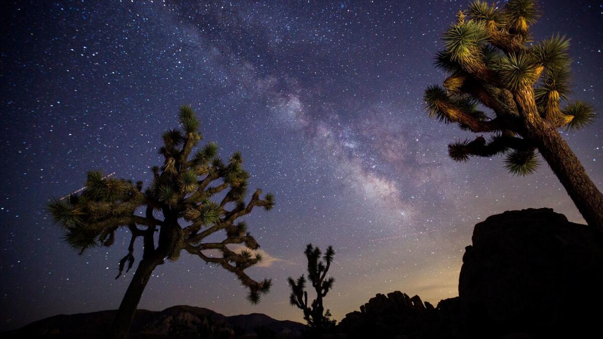 A view of the Milky Way arching over Joshua trees and rocks at a park campground popular among stargazers in Joshua Tree National Park.