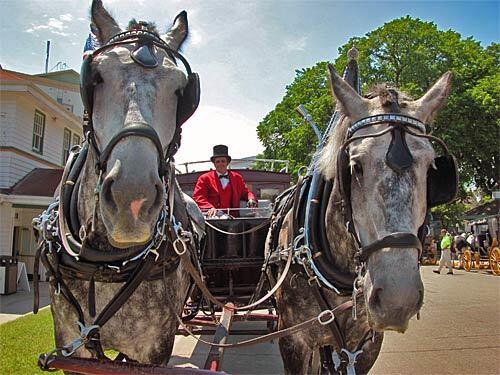 Whoa, Nellie! Horse-drawn taxis are a familiar sight on Mackinac Island. The island, sandwiched between mainland Michigan and its upper peninsula, is one of those rare places that gives visitors a glimpse into a simpler life.