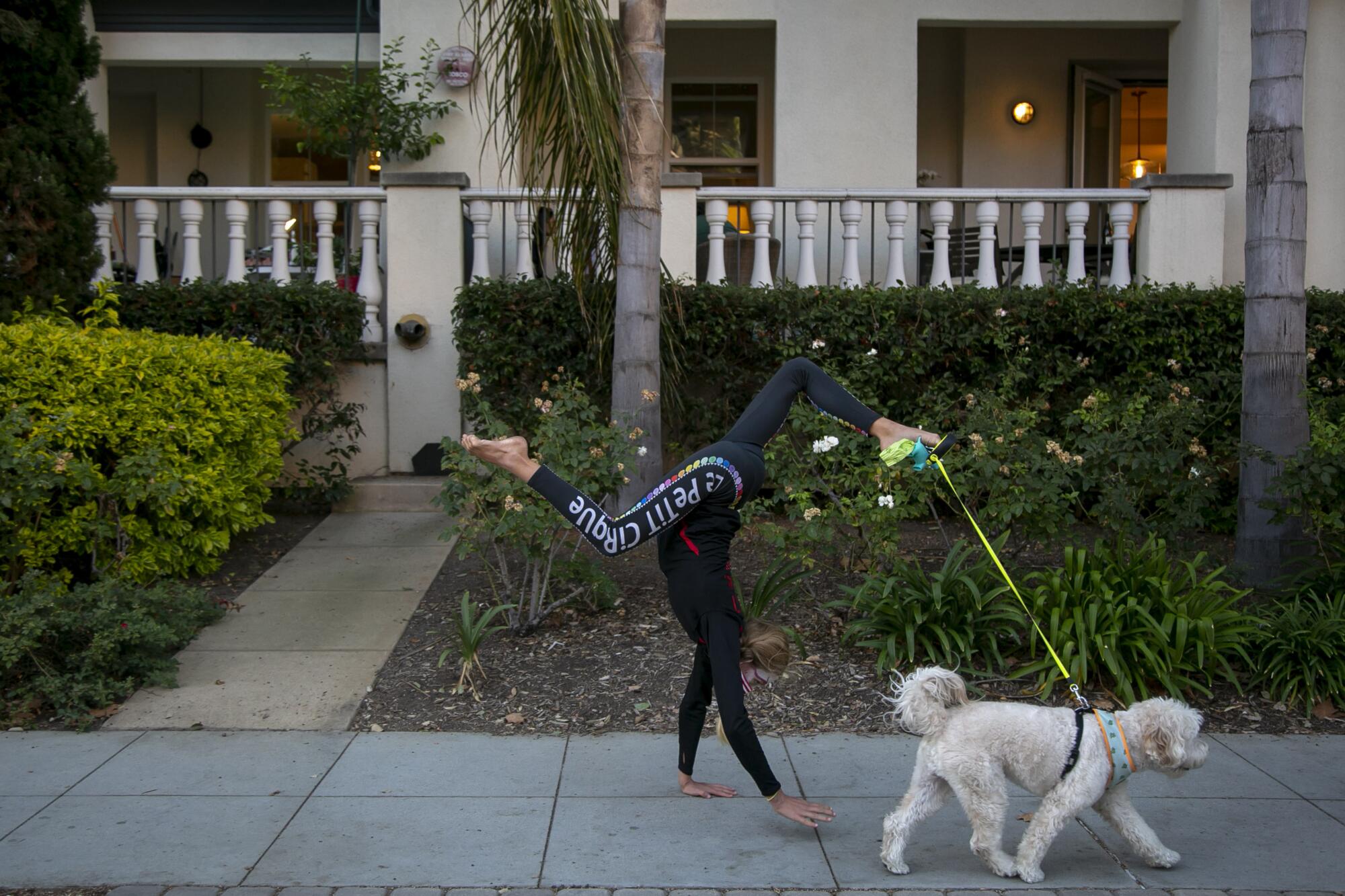 A girl walks on her hands along the sidewalk, with her dog's leash held by her toes. 