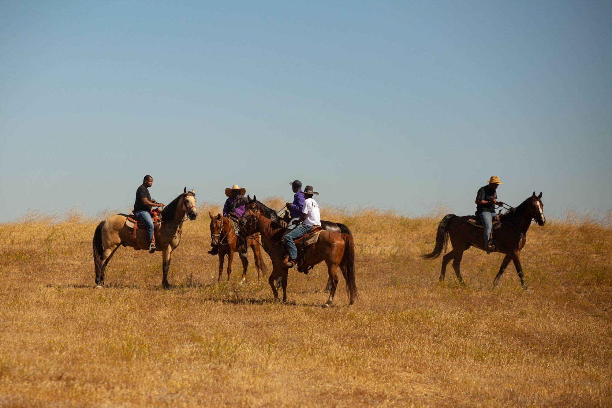 Several riders on horses in the distance gathering in the dried grass on a hill