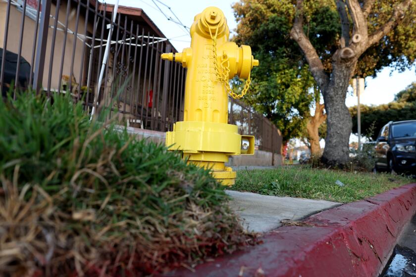 LOS ANGELES, CALIFORNIA June 4, 2024- A fire hydrant at 82 St. and Hooper Ave. in Los Angeles was a target of a theft recently. (Wally Skalij/Los Angeles Times)