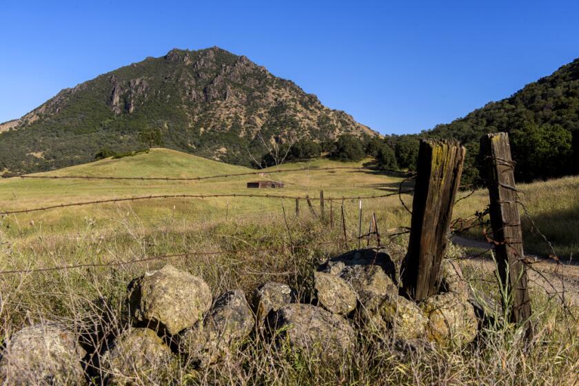 Scene from Sutter Buttes State Park. For the last two decades, this has been a California State Park that almost no one is allowed to visit. In 2003, California State Parks acquired property on the north side of the Sutter Buttes, which represents a unique resource within the State Park System.