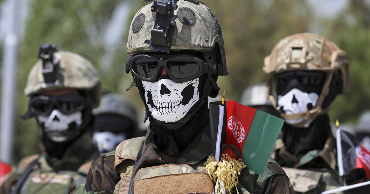 Russia is recruiting Afghan commandos  trained by the U.S.  to fight in Ukraine