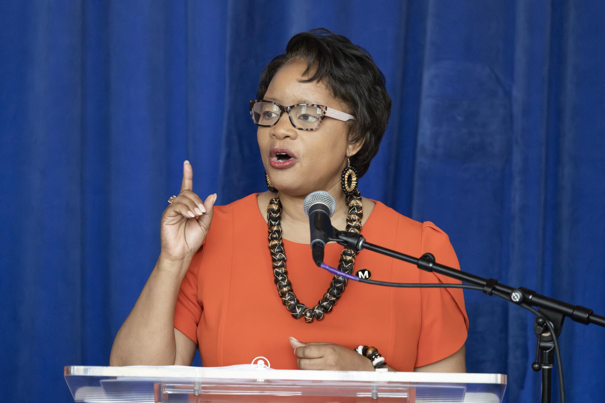 A woman gives a speech