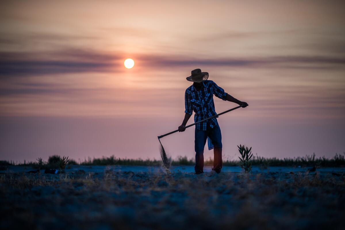 Nathaniel Kennedy works on his uncle Dennis Hutson's farm in Allensworth, Calif., in July.
