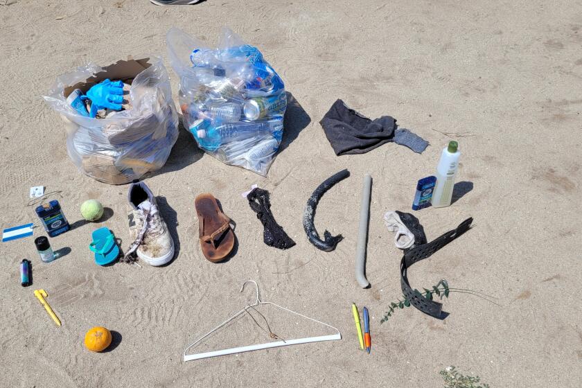 This is some of the trash picked up during a coastal cleanup in honor of Earth Day.