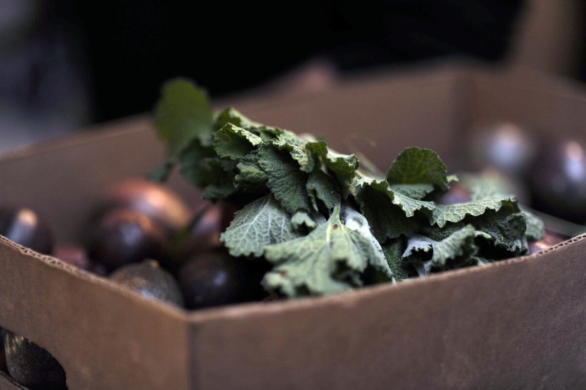 Fresh produce at the Wednesday Santa Monica farmers market.