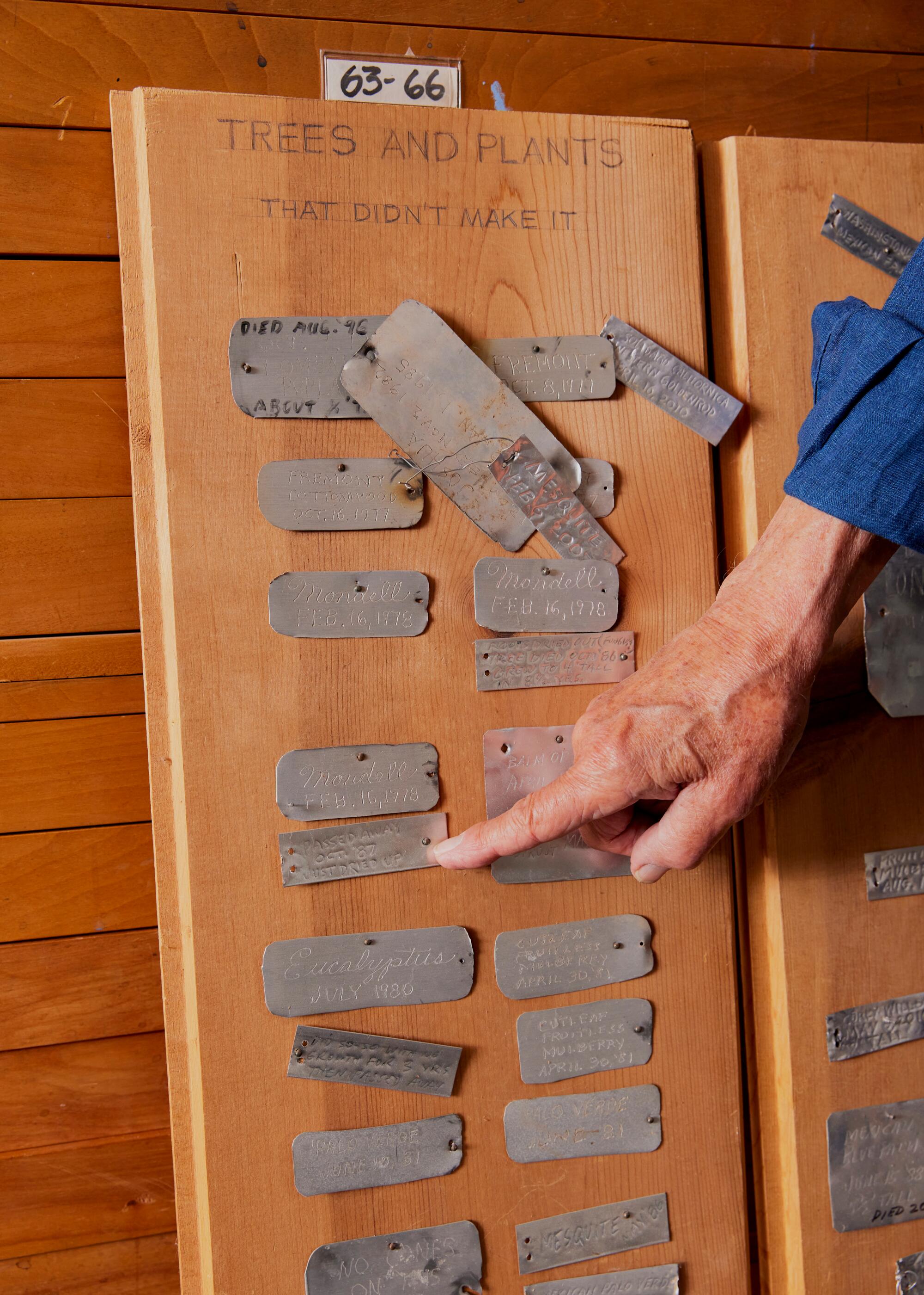 For 50 years, Ruscha has been making "little epitaphs" for his plants whenever they die.