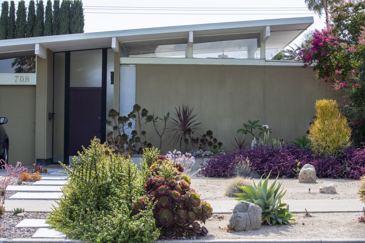Drought-tolerant landscaping in front of a midcentury modern home.